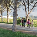 NOURA RÊVE Image 7