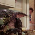 GREMLINS Image 9