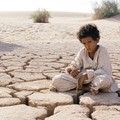 THEEB Image 6