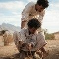 THEEB Image 3