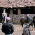 PORNOMELANCOLÍA Image 3