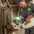 LA FERME DES BERTRAND Image 2