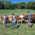 LA FERME DES BERTRAND Image 1