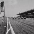 RACETRACK Image 3