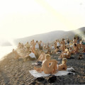 LESVIA Image 1
